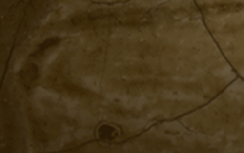 Microscopía y técnicas afines para el estudio del patrimonio cultural