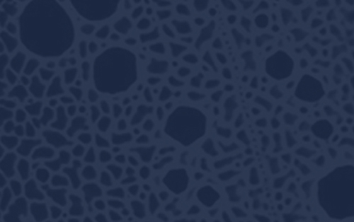 Seminario Aplicación de la microscopía confocal en los materiales y el patrimonio cultural