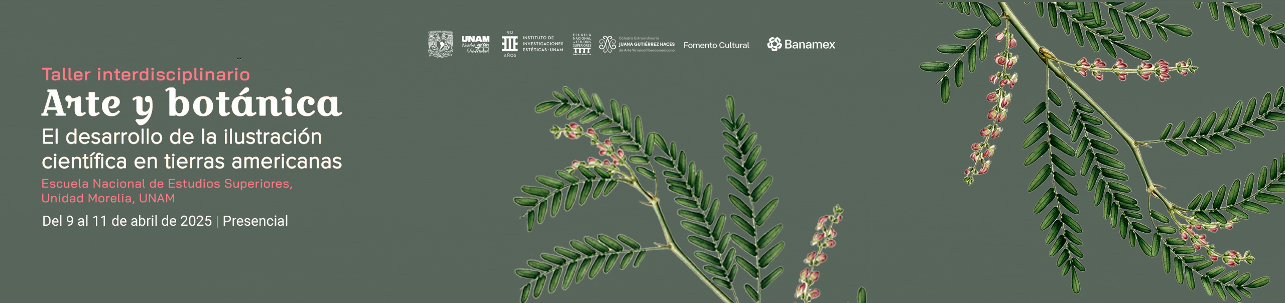 Actividad Taller Arte y botánica